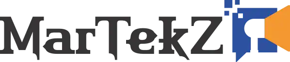 Francis 'Sola Ibikunle offering professional consultation services.
